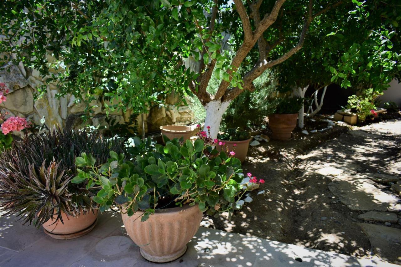 Villa Lena Sivas ภายนอก รูปภาพ