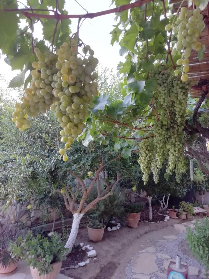 Villa Lena Sivas ภายนอก รูปภาพ